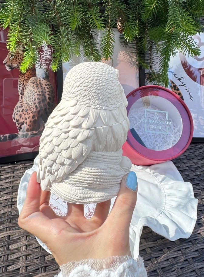 Шкатулка Букля