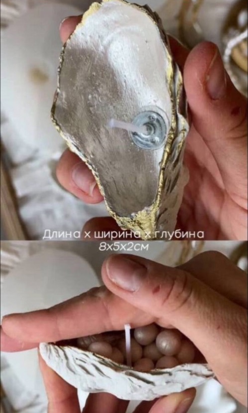 Декоративные устрицы 🦪 набор 5 шт