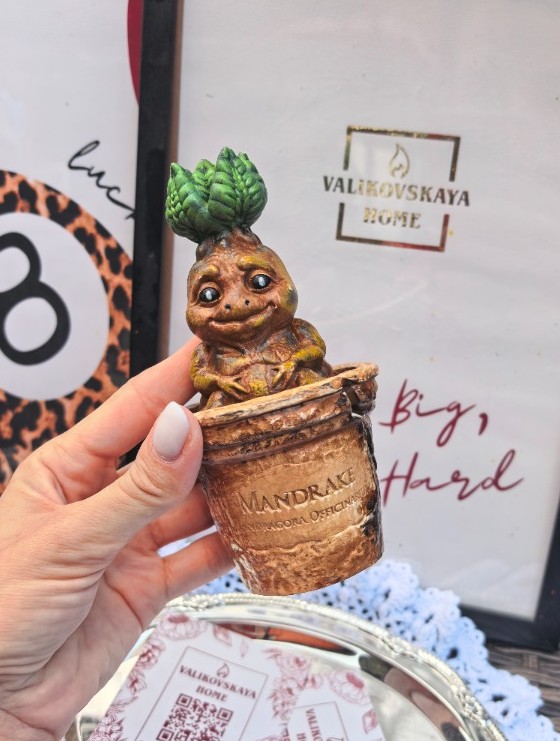 Шкатулка Корень Мандрагоры 